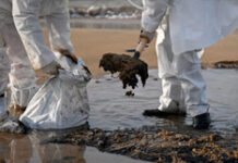 Введение федерального режима ЧС из-за разлива мазута будет зависеть от рекомендаций специалистов ad02c742-f846-4221-8424-426e52c64dd9-67bdce0b