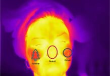 Глинтвейн с алкоголем и без: научное исследование согревающего эффекта и праздничного настроения c405074d-09b2-40e2-bdf4-24b9c3aff965-67b36bed