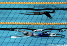 Российские спортсменки достойно выступили в эстафете на мировом первенстве по плаванию cb2e9ac6-fe01-4f7c-a1e1-e08ccd9dd72b-67ae7369