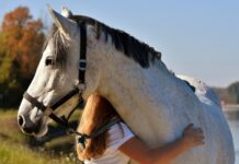 Успешное спасение: врачи виртуозно прооперировали юную наездницу после травмы d3da8210-1bad-4427-9770-910fcc310a43-67c1a9a1