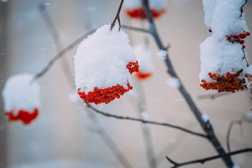 Фото: primamedia.ru