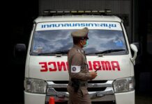 Храбрая девушка дала отпор преступнику и предотвратила нападение e9741bbc-7e9c-44a2-a433-87adf4604c6a-67b6af74