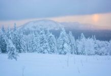Проект Большая уральская тропа запускает масштабный фотоконкурс о красоте Урала 064cad73-a8f1-497c-bc60-ffacdb17c133-67d9a7a0