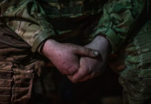 Массовая сдача украинских пограничников на Белгородском направлении 0a3d4a07-05c0-44fb-8a45-a7917de1c151-67d80626