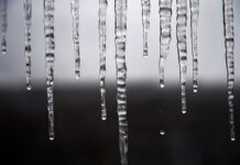 Масштабная проверка районных администраций Петербурга в связи с травмами горожан 25bec757-a6d5-4da5-94c2-e0e18fb40e4a-67e15a8b