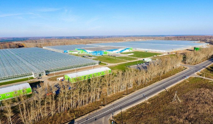 В подмосковных индустриальных парках и ОЭЗ реализовали 50 инвестпроектов в 2024 году