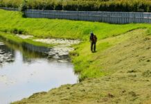 Эксперт разъяснил особенности нового закона о земельных участках 38dd1d7f-7fac-4478-8610-1807b9098f0d-67ee955b