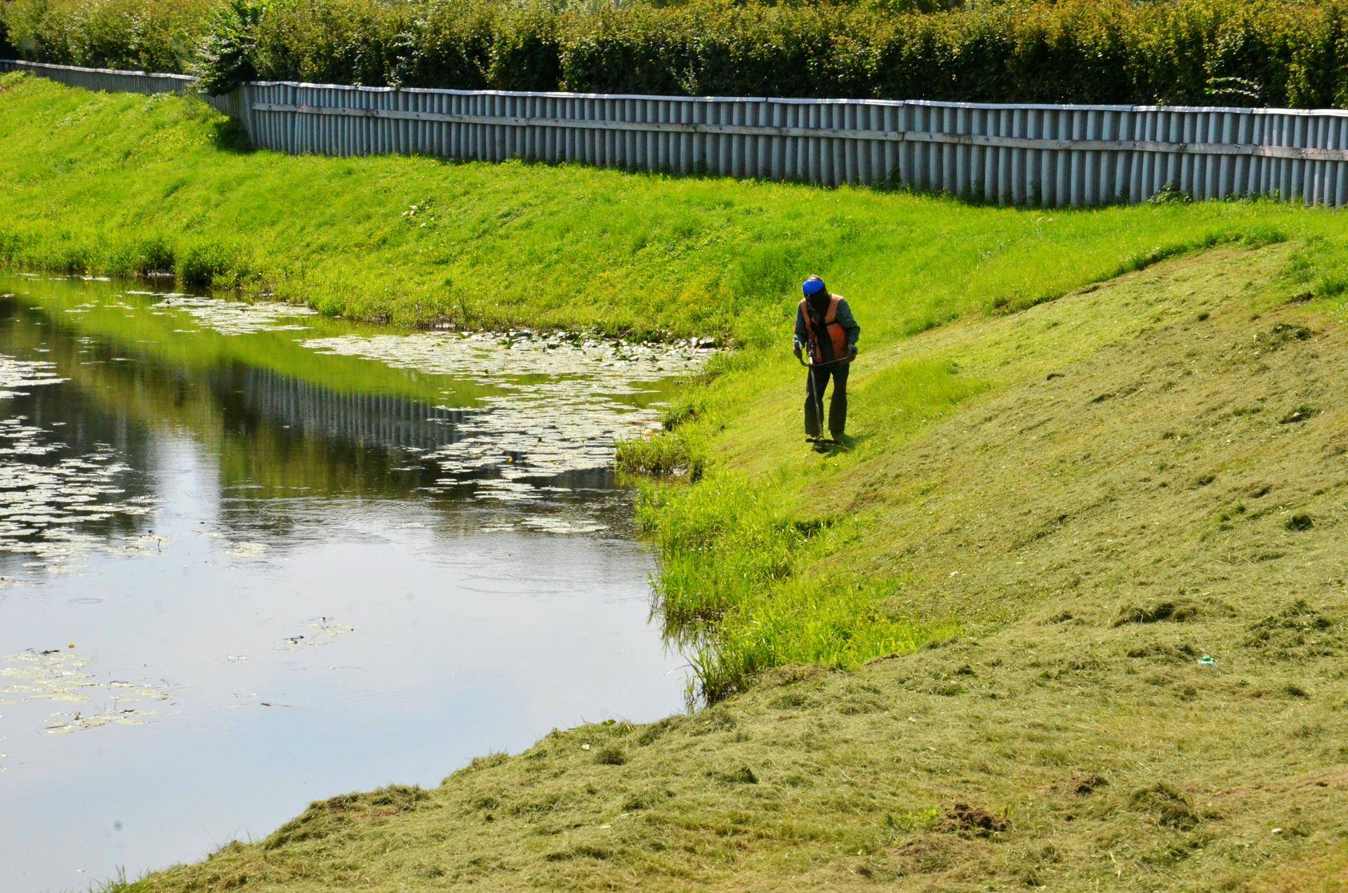 Покос травы
