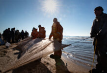 3dfa62a2-5d81-44a9-b4be-51e1e97af86d-67dea0b2