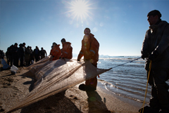Уже 1,5 км защитных сетей для сбора мазута установили вдоль берега в Анапе
