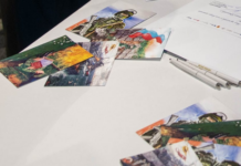 Грандиозный конкурс патриотических открыток стартовал в Музее Победы 410c2a36-35f1-4c33-947f-aa63c928ddb7-67e1a0be