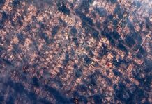 Спутниковые снимки показали масштаб природной стихии в Лос-Анджелесе 46f89f60-7939-4fca-a8ad-77bad9d0b6fc-67d3a7c2