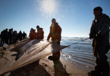 Активная защита побережья Анапы развернута на полтора километра 5f325083-6c43-48a5-8d0f-9479767be941-67ddae44