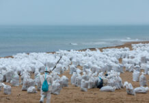 В Анапе и Темрюкском районе успешно ведутся работы по очистке территории после разлива мазута 65083218-83fa-45e1-bb06-7bd0b4167c6d-67d052e4