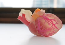 Революционный прорыв в лечении сердечных заболеваний 6a166959-52af-4125-9575-9aacbacac1df-67eee5d0