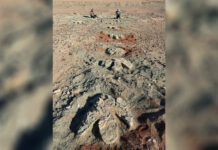 Сенсационное открытие гигантских следов древнего динозавра в Монголии 73db4a17-839c-401b-ab63-60c05b29b1ae-67e4495d