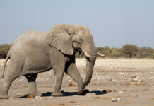 Мария Захарова поделилась волшебными воспоминаниями из детства 7df34fd8-d7a9-4721-a837-ced34831ea1a-67d46aa2