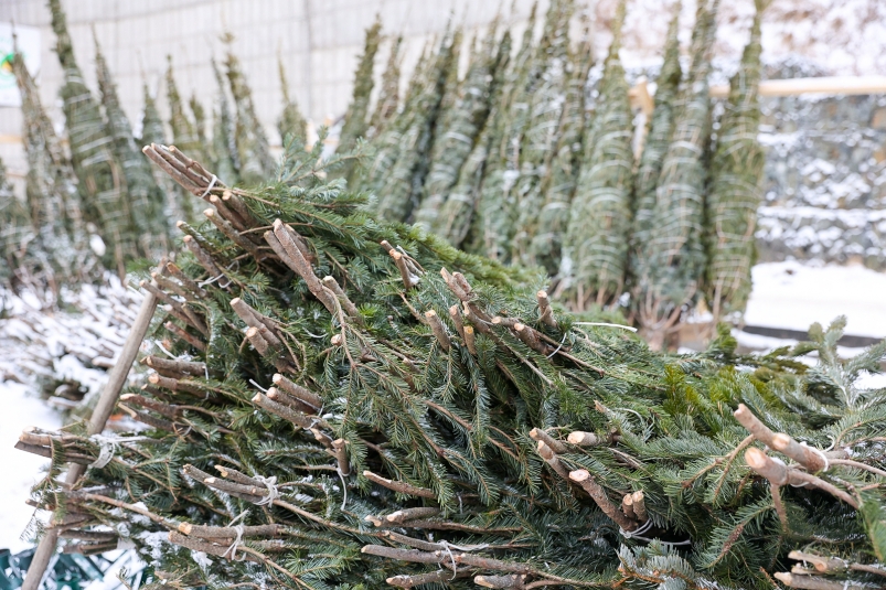 Фото: primamedia.ru