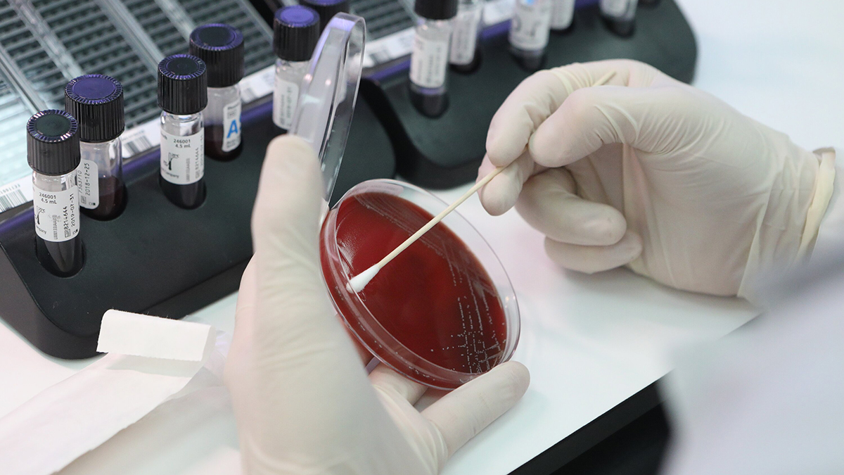 Ученые изобрели пептиды, повышающие эффективность лекарств от рака