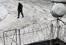 Справедливое наказание за трагический конфликт на улице в Подмосковье a1e922d6-46f2-482d-bc59-4c71da082772-67ed439d