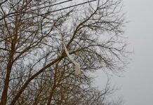 Загадочное приземление метеорологического зонда в селе Чучково a1f697e2-5792-4f97-a565-27a2c913cdf7-67ed7eb9