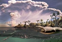 Обнаружен гигантский мезозавр, превосходящий все известные экземпляры a3e11775-8f6f-4e0d-86b7-f29f548e8e15-67cc288f