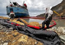 Масштабная очистка Черного моря демонстрирует эффективные результаты a8a945b7-4710-461a-b0d5-982bd497b092-67e939f8