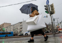 Дожди и тепло: москвичам рассказали о погоде на Крещение Городские жанры предновогодней Москвы