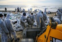 Футболист Матвей Сафонов поддержал экологическую инициативу на побережье Краснодарского края aea1f125-edab-4142-86ba-b121958f3495-67cf43cb