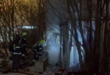 В деревне Летово оперативно устранили возгорание: подробности спасательной операции afb1b451-d919-45e3-82b1-f89ec52c4d76-67ce6b16