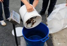 Эффективный контроль качества морепродуктов в Приморье защищает потребителей b7f448cf-b393-4985-8bf9-b38100873387-67dd918e