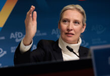 Перспективный диалог между немецким политиком и американским предпринимателем c91b645f-29cd-46b4-8405-2e66f8e703d1-67cb8ca9