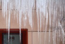 Своевременная помощь спасла пострадавших от падения наледи в Петербурге d9ce23ed-348e-4d7f-9c95-d1c176bdfb4c-67d9a799