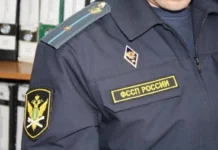 Предпринимательница с Урала получила шанс на исправление через общественные работы e358b858-0236-42c0-b789-9bf2a2347509-67e11825