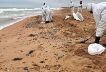 Власти нашли оптимальное решение для утилизации загрязненного песка с Черноморского побережья e96c66bb-cd9e-4a58-9f92-72ac7711c3bf-67e89566