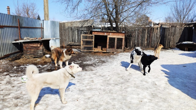 Фото: primamedia.ru