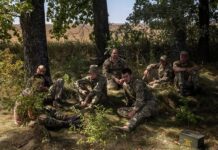 Стало известно о выгоде украинских юристов от насильственной мобилизации fb528711-2263-47c3-806f-de2408737365-67d3f876