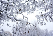 Настоящая русская зима возвращается в Москву с крепкими морозами Снегопад 31 декабря в центре Москвы