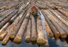 017a4fc9-6bb4-4ec3-b3d5-2b43425e1cdb-680af602