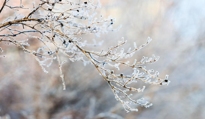 10 февраля в Москве горожан ожидает облачная погода без осадков