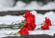 Вице-губернатор Приморья удостоен высшей государственной награды 1f3e9566-af5d-4eb0-a41f-75c462a19881-67fe07f1