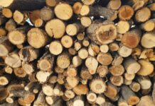 Муниципалитет Приморья обеспечит жителей твёрдым топливом после решения суда 2185ca29-bfcc-40f7-b3a6-748dff61bc3d-67fd44a5