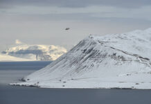 Удивительный архипелаг Шпицберген 3803f23b-ec5c-4bad-8c62-25867375b690-67fa447c