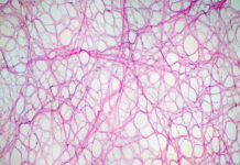 Секреты молодости и здоровья от эксперта по питанию 394f4ce7-fa18-45d4-b091-9acb08c6fecb-68090c9c