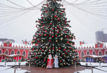 Волшебное новогоднее приключение в историческом Петровском дворце 46b379e0-85e3-41af-a770-258a752611fb-67f17ab0