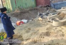 В прокуратуре сообщили новые детали инцидента с ребёнком на улице Сахалинской 48a883aa-a05a-4ec5-bcf4-c5f95f50faa1-6805378e