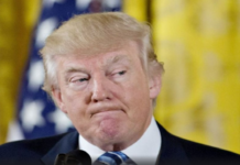 Судьбоносный разговор Трампа и Си Цзиньпина на пороге глобальных перемен 4aa49c8c-76fd-4078-b6e8-b6130d3784f4-67f4da84