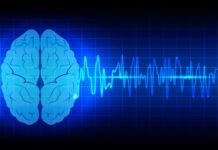 Перспективная программа исследования мозга поможет миллионам людей 4c71c365-ba00-4dad-8680-fb0b7597874e-67f954c8