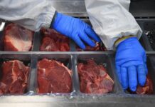 Россия наращивает зарубежные поставки говядины 548c8799-8e46-443b-b91e-c163313981c5-680a0e79