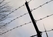 Дерзкая афера в Петербурге раскрыта Миллионы военных выплат похищены у контрактников 5c1ba460-924f-4c46-9e22-2eec58654cb5-67fb1d85